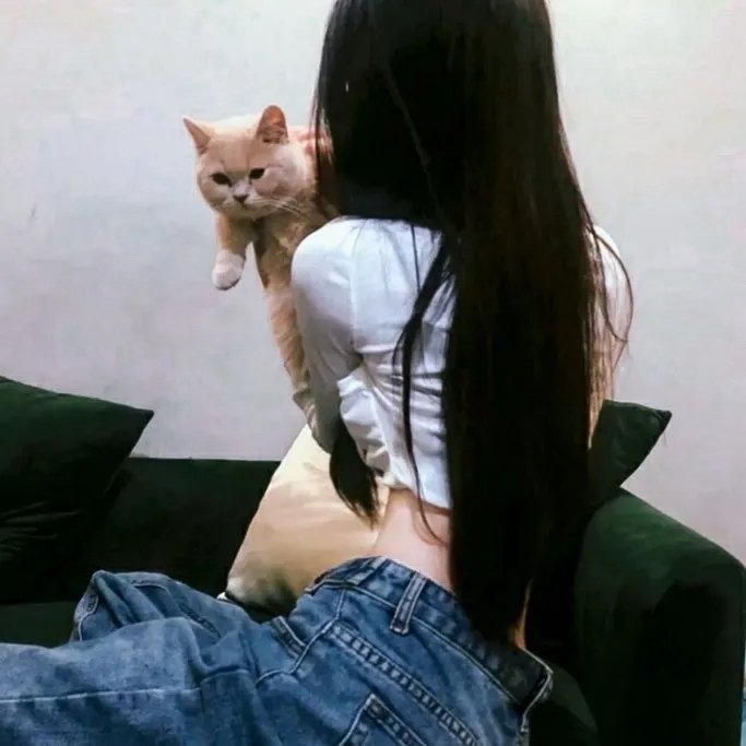 家，亲爱的家